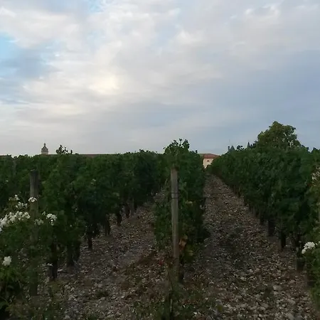 L'appart Rue Du Matha 4* مارغو-كانتيناك