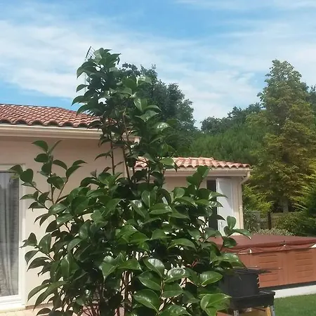 بيت ضيافة L'appart Rue Du Matha مارغو-كانتيناك